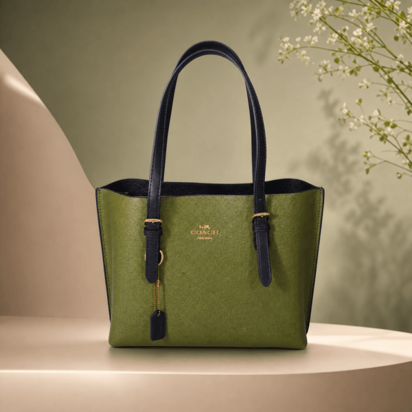 Coach Signature Canvas Tote Bag with Detachable Shoulder Strap-Green